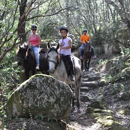 De Charme De Croccano Sartene (Corsica)