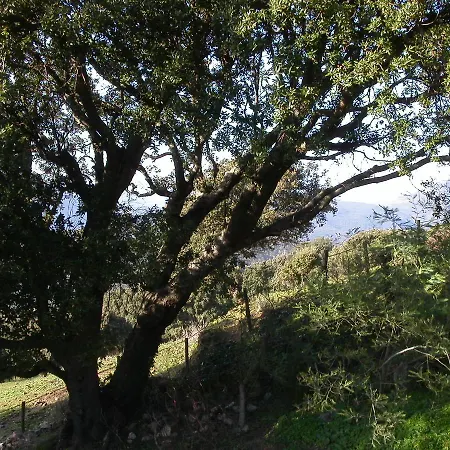 Bed & Breakfast De Charme De Croccano 3*