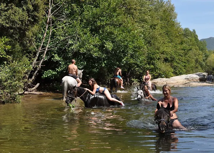 ベッド・アンド・ブレックファスト De Charme De Croccano サルテーヌ