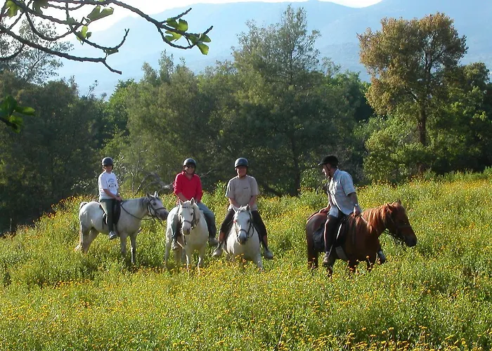 De Charme De Croccano