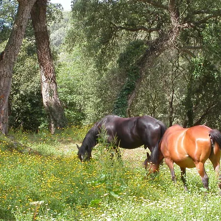 De Charme De Croccano Bed & Breakfast