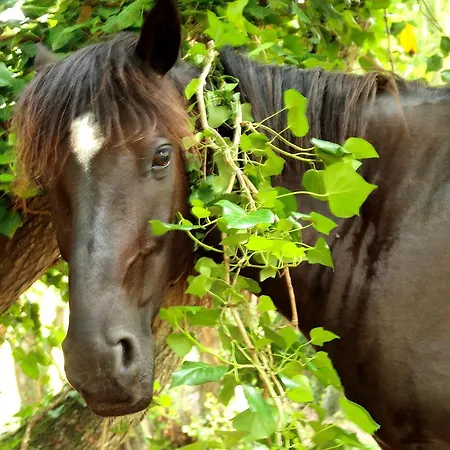 Bed & Breakfast De Charme De Croccano