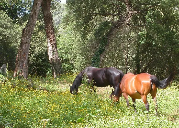 De Charme De Croccano Bed & Breakfast