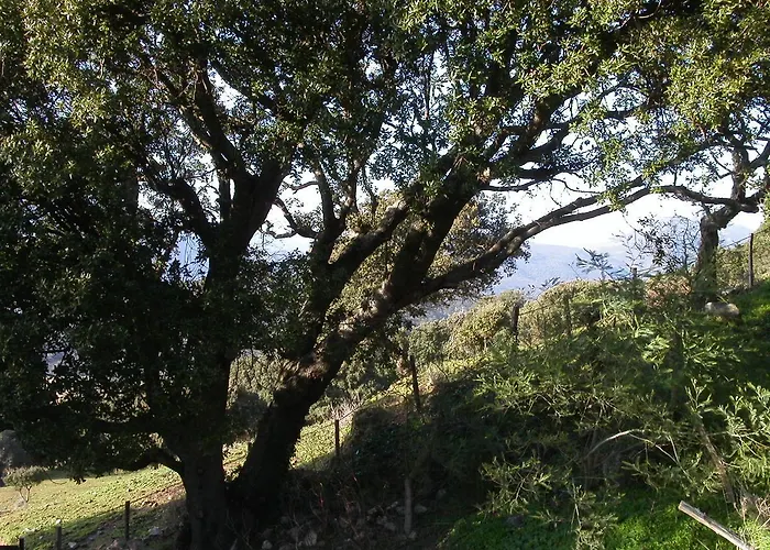 Oda ve Kahvaltı De Charme De Croccano 3*